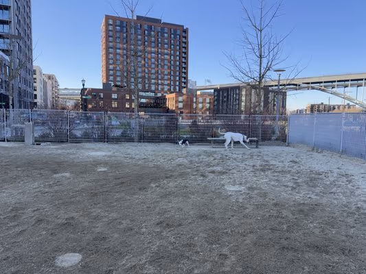 Argay Park off Leash Area photo 2